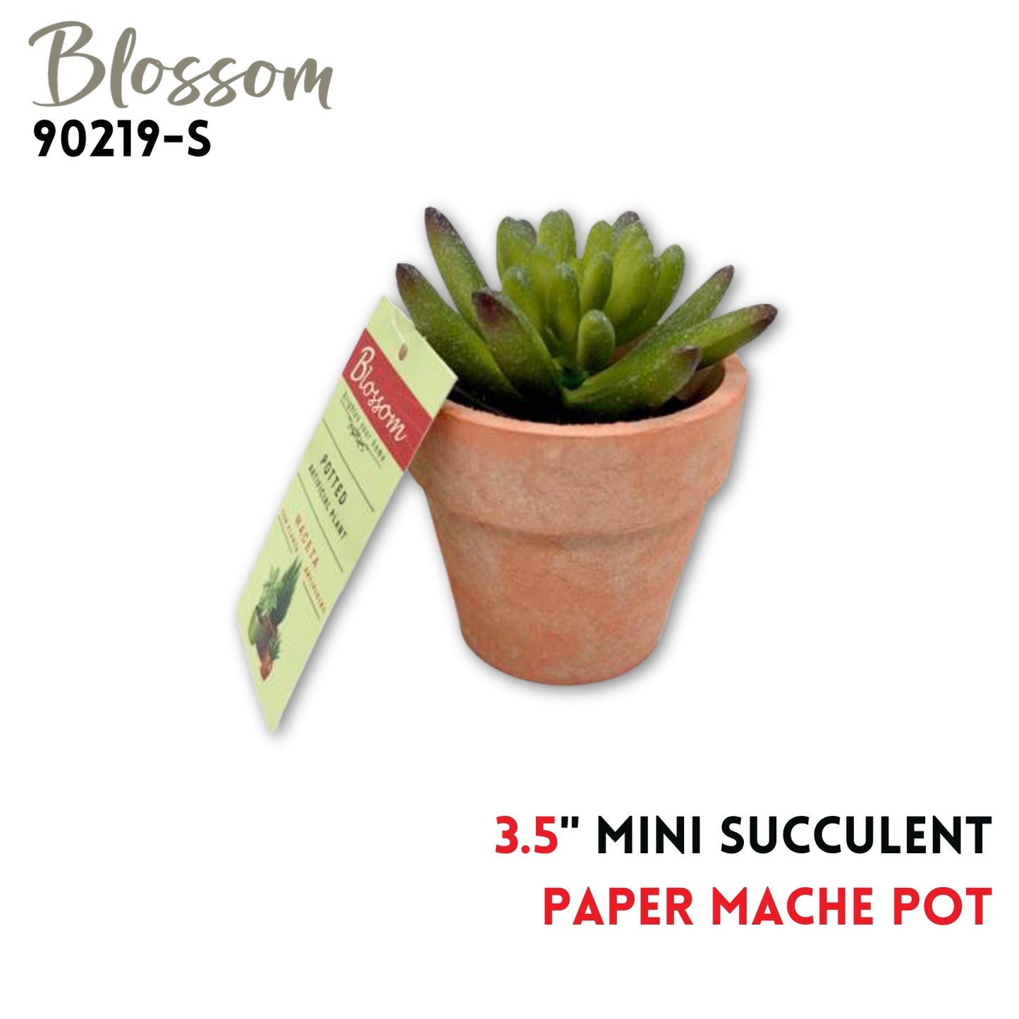 Mini Succulent 3.5" in Paper Mache Pot