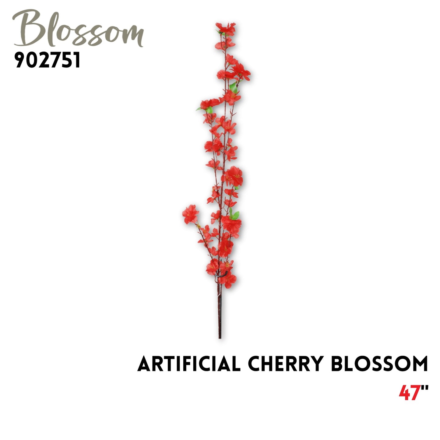 Cherry Blossom