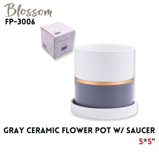 Flower Pot  w/saucer  5*5"  gray