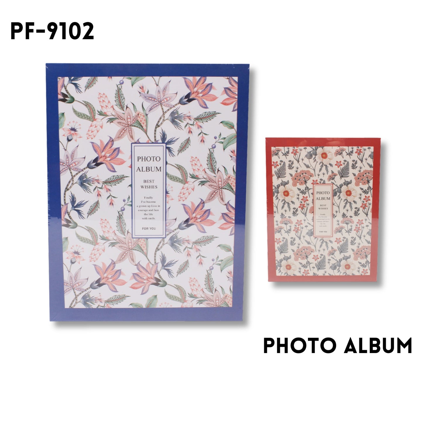 Photo Album 4"x6", 2 designs assted