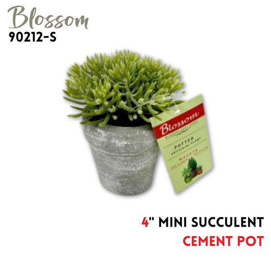 Mini Succulent 4" In Cement Pot