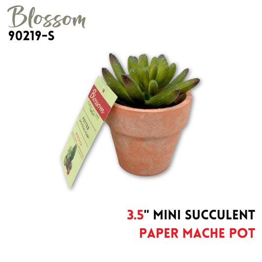 Mini Succulent 3.5" in Paper Mache Pot