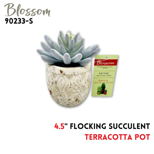 Flocking 4.5 " Succulent in Terracotta Pot