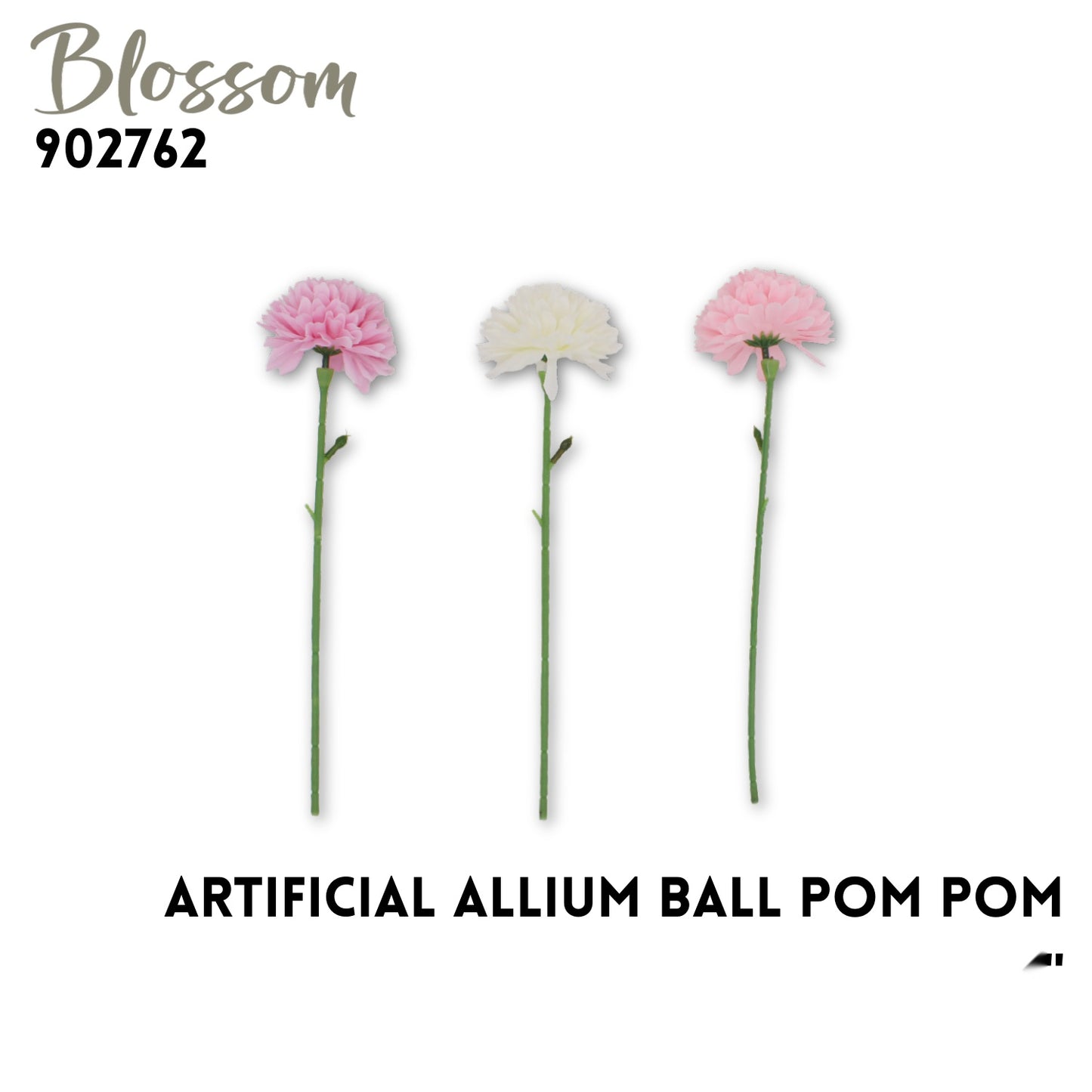 Allium Ball Pom Pom Flower