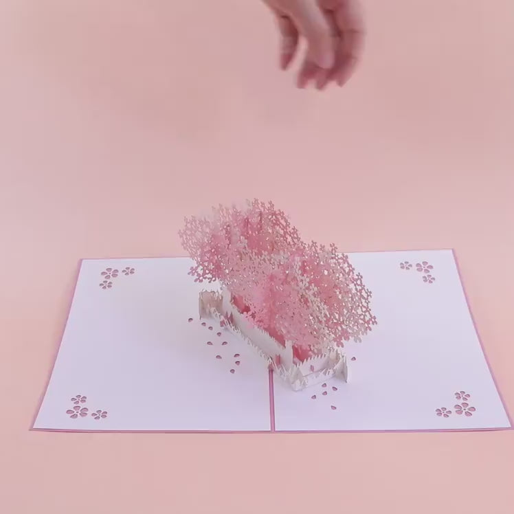 Cherry Blossom trees Pop up card video